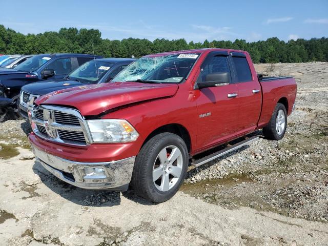 Vin: 1d7rb1gp0as115722, lot: 64291144, dodge all models 2010 img_1