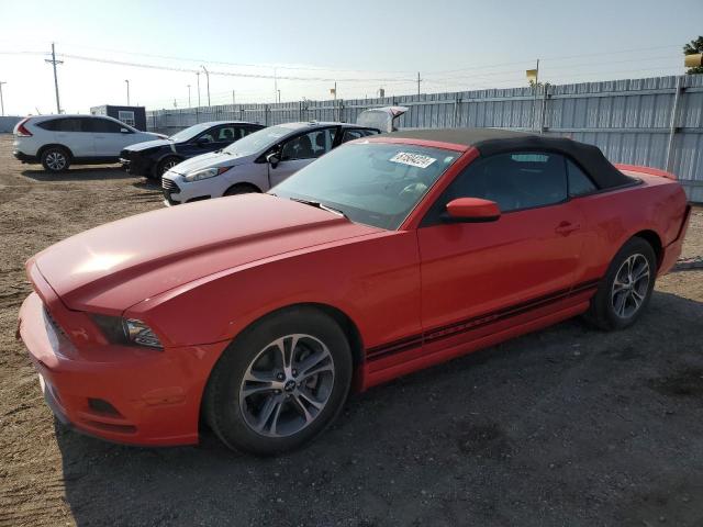 1ZVBP8EM5E5310411 2014 Ford Mustang