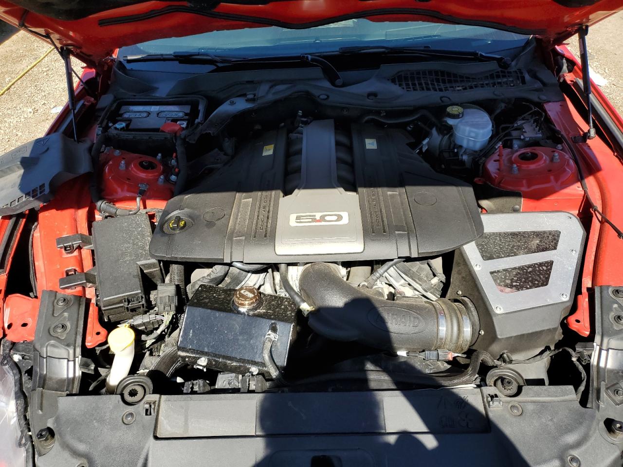 1FA6P8CF7K5122046 2019 Ford Mustang Gt