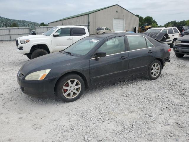 2004 Honda Accord Ex VIN: 1HGCM66574A054761 Lot: 61772274