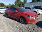 HYUNDAI ELANTRA SE photo