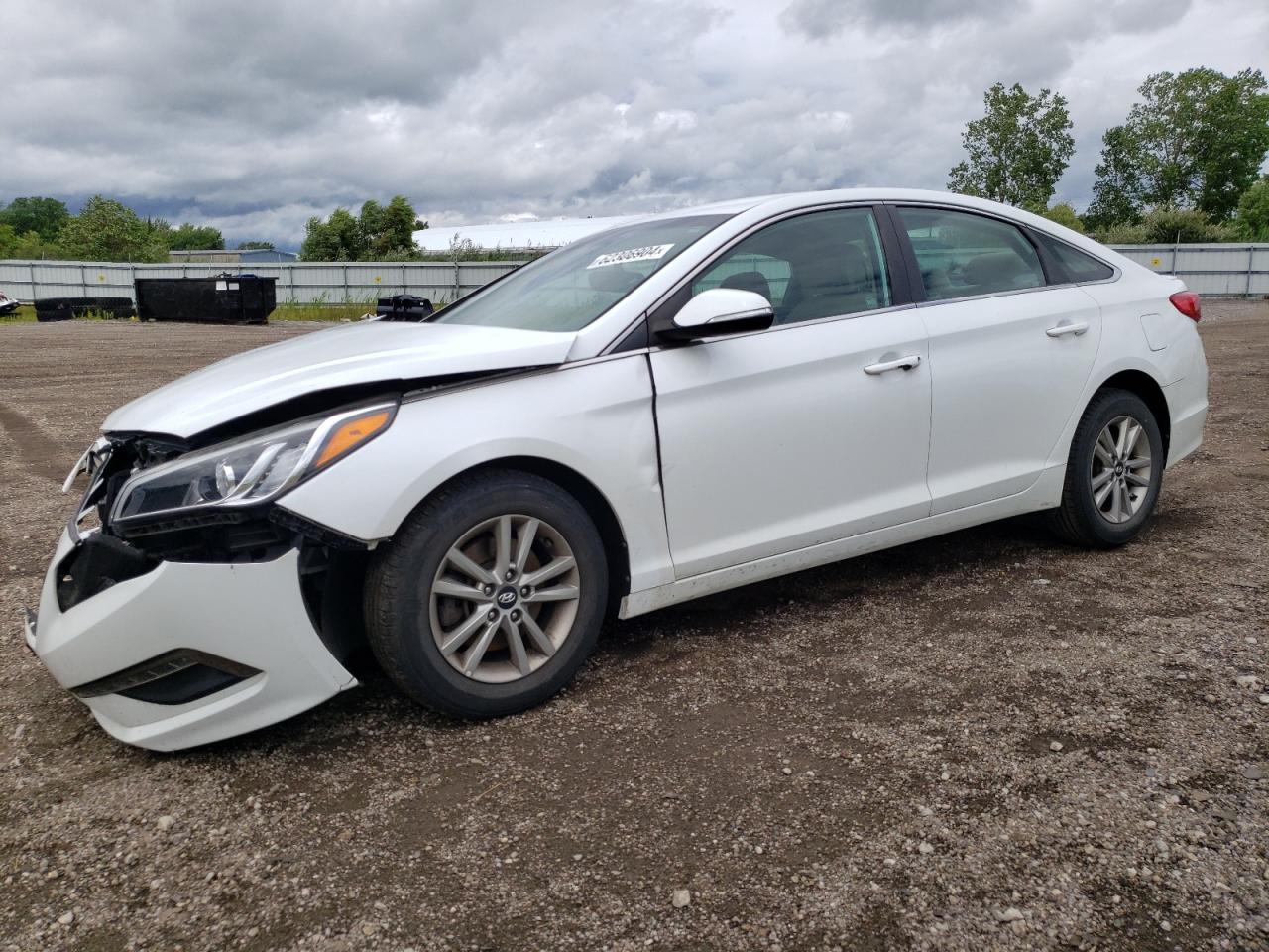 2016 Hyundai Sonata Eco vin: 5NPE24AAXGH394196