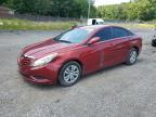 5NPEB4AC6DH549940 2013 Hyundai Sonata Gls