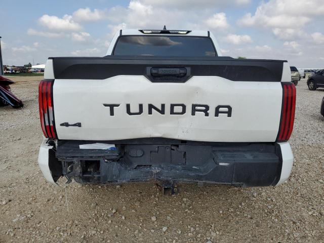 2023 TOYOTA TUNDRA CRE - 5TFLA5DB7PX072852