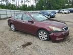 HONDA ACCORD EXL photo