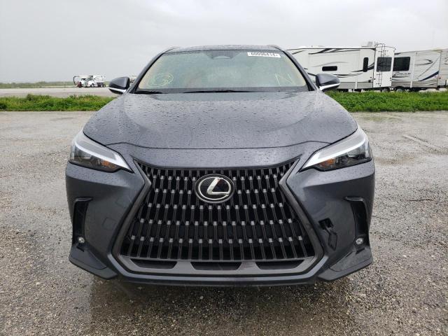 2023 LEXUS NX 250 JTJADCAZ7P5012874