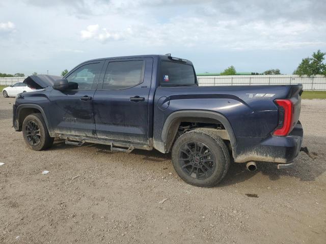 2023 TOYOTA TUNDRA CRE - 5TFLA5DB5PX101586