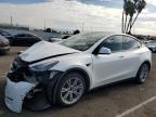 TESLA MODEL Y photo