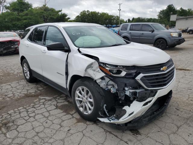 2019 CHEVROLET EQUINOX LS - 3GNAXHEV9KL282588