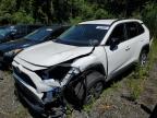 TOYOTA RAV4 LE photo