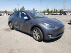 TESLA MODEL Y photo