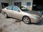 LEXUS ES 330 photo