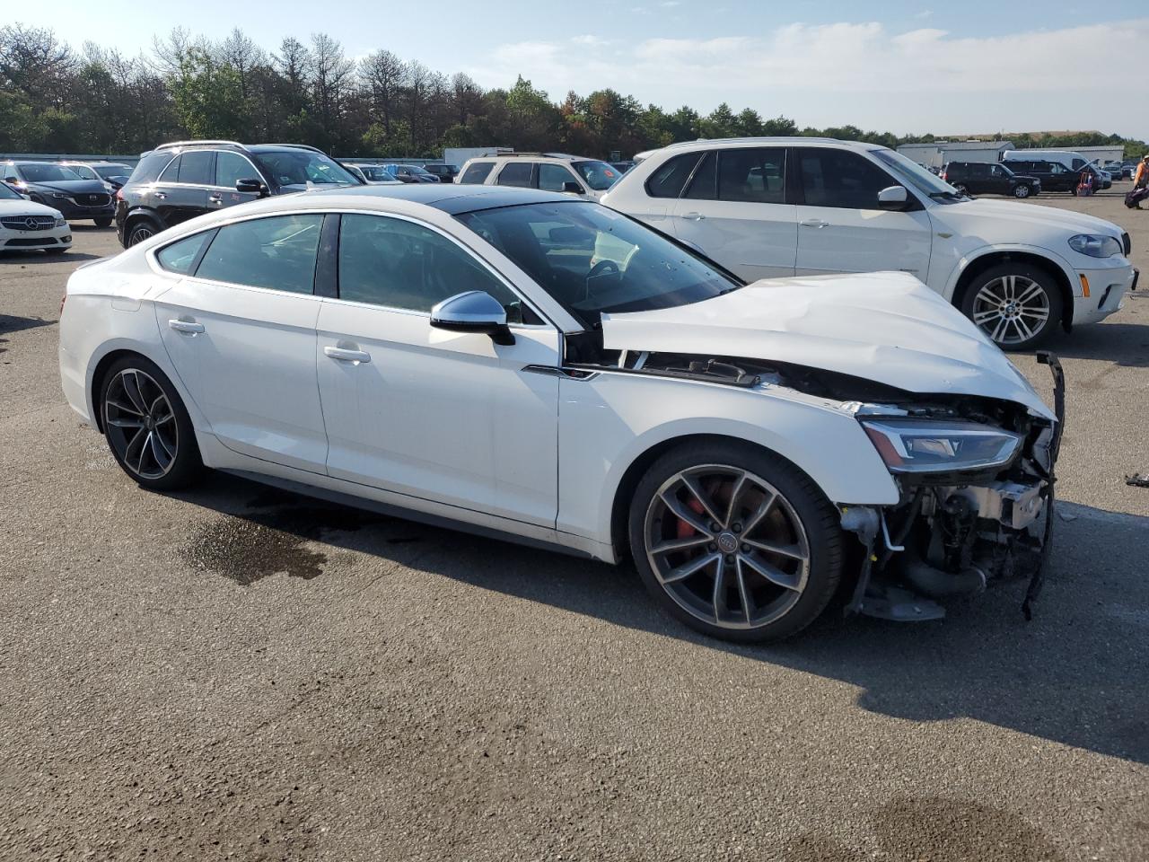 AUDI S5 PREMIUM PLUS
