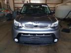 KIA SOUL + photo