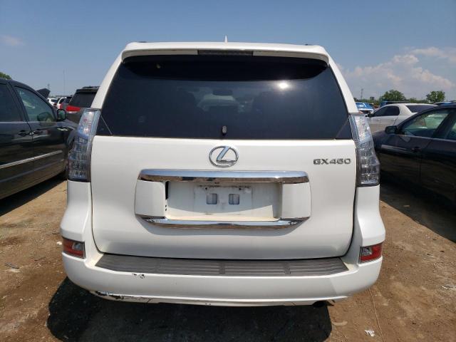 2014 Lexus Gx 460 VIN: JTJBM7FXXE5074401 Lot: 62137774