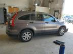 HONDA CR-V SE photo