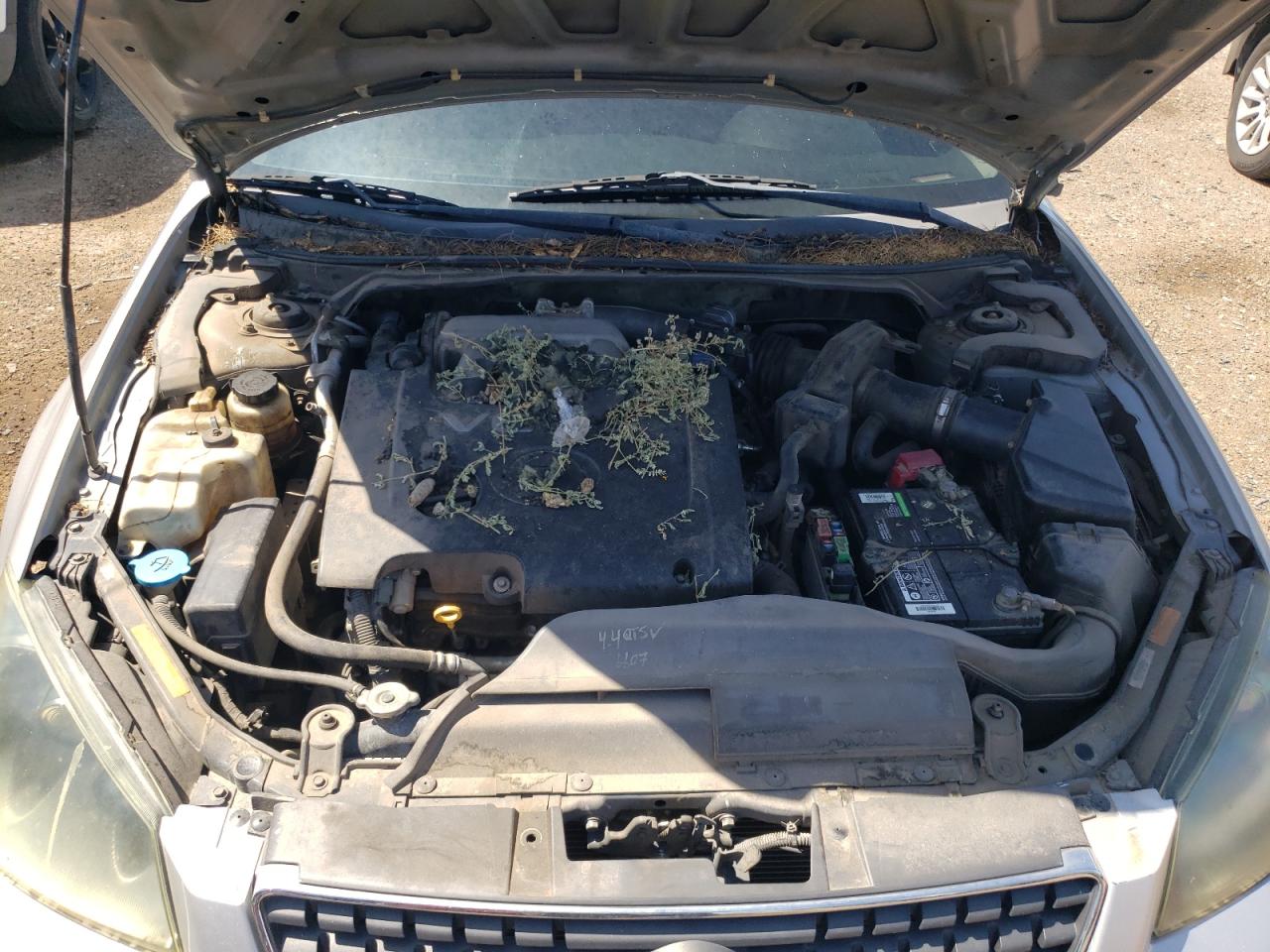 1N4BL11D75N908260 2005 Nissan Altima Se