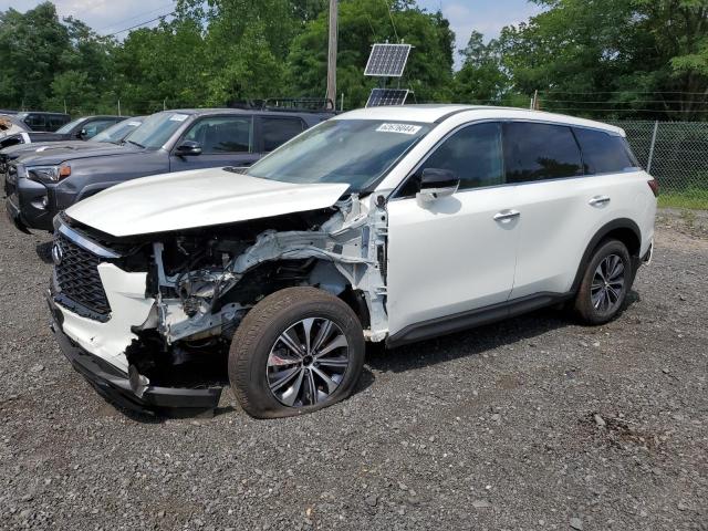 2022 Infiniti Qx60 Pure VIN: 5N1DL1ESXNC334496 Lot: 62676044