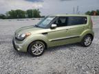 KIA SOUL + photo