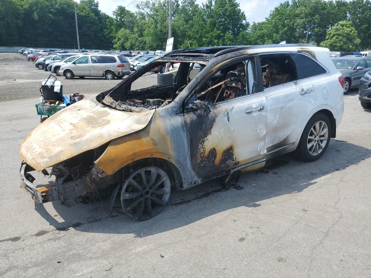 5XYPKDA58HG318089 KIA SORENTO SX 2017