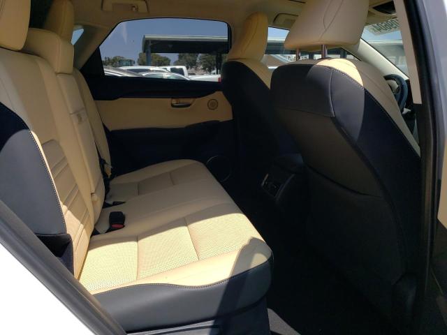 2020 LEXUS NX 300 JTJDARBZ2L5016915