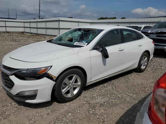 2019 CHEVROLET MALIBU LS 2019