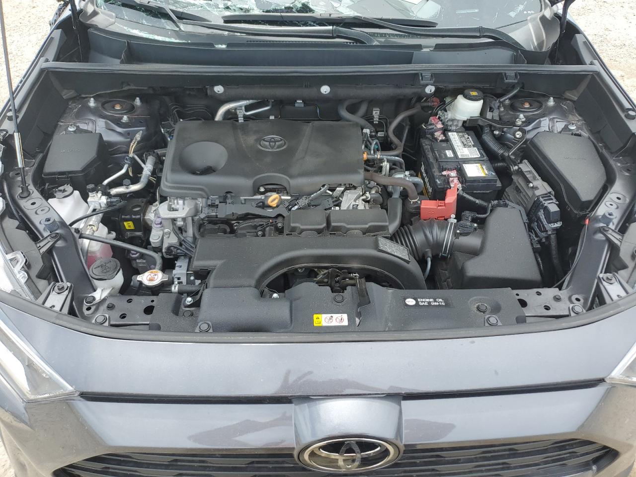 2T3W1RFV5MW126905 2021 Toyota Rav4 Xle