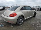 VOLKSWAGEN BEETLE photo