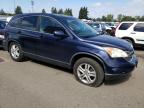 HONDA CR-V EXL photo