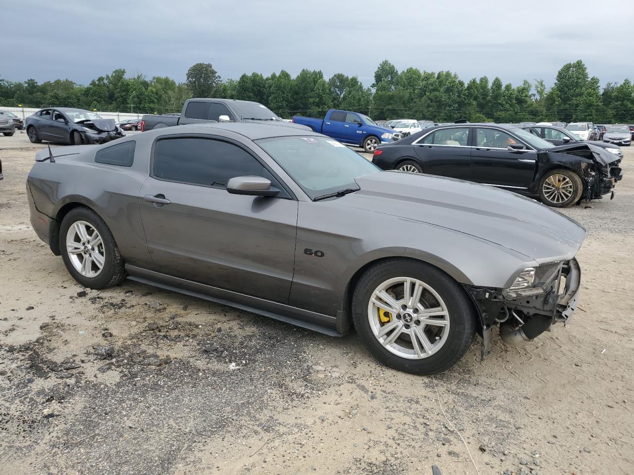 Lot #2794550505 2014 FORD MUSTANG GT