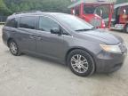 HONDA ODYSSEY EX photo