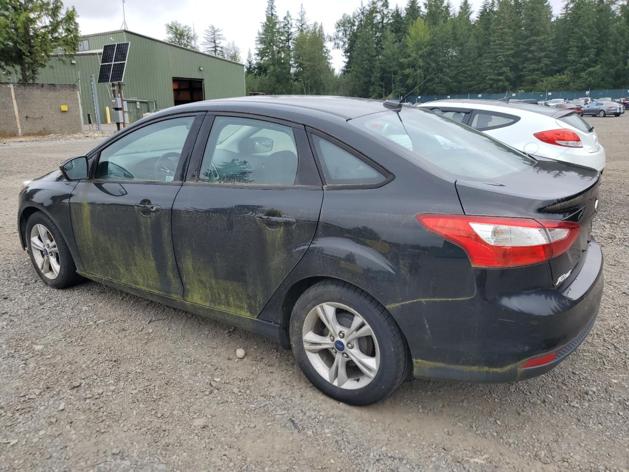 2014 Ford Focus Se vin: 1FADP3F23EL433251