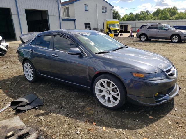 2005 Acura Tsx VIN: JH4CL96805C007587 Lot: 61607314