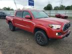 TOYOTA TACOMA DOU снимка