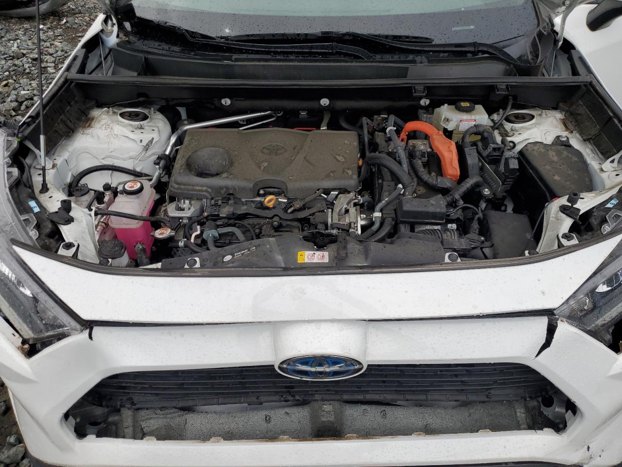 4T3M6RFV8MU031103 2021 Toyota Rav4 Le