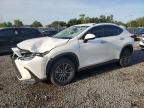 LEXUS NX 250 BAS снимка