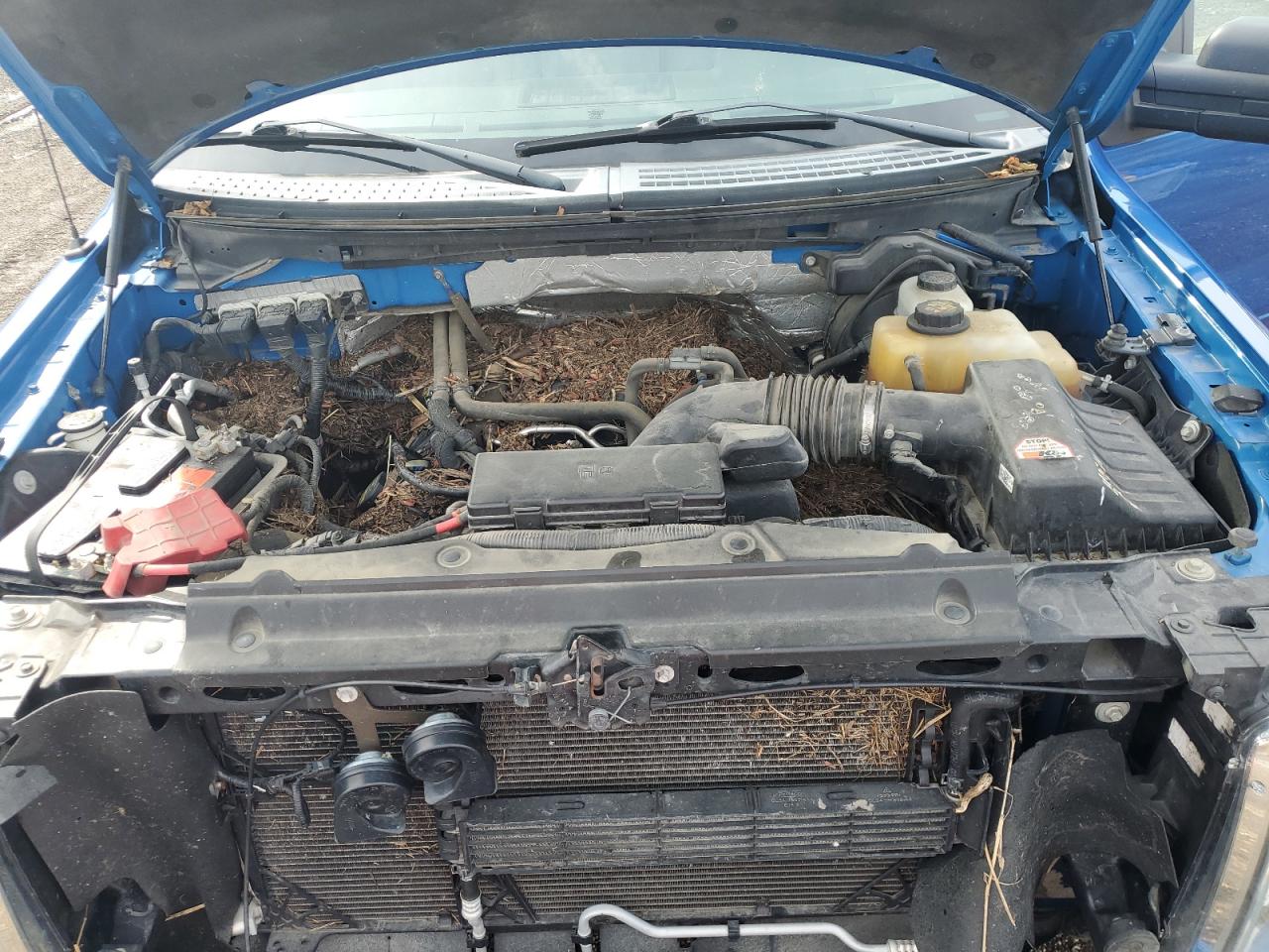 1FTFX1EF0DFD56122 2013 Ford F150 Super Cab