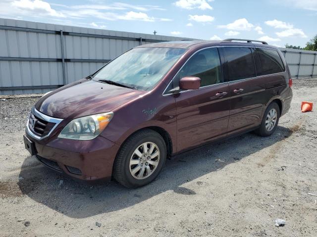 HONDA ODYSSEY EX