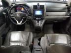 HONDA CR-V EXL photo