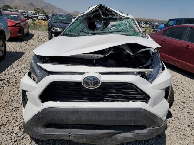 2023 TOYOTA RAV4 XLE - 2T3P1RFV6PC331031