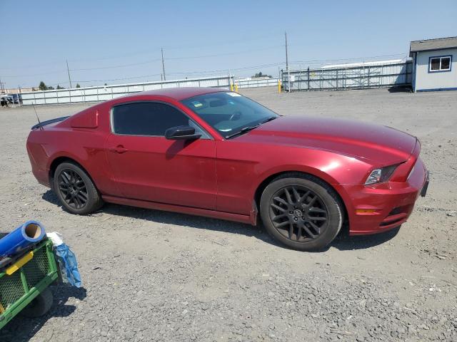 2014 Ford Mustang VIN: 1ZVBP8AM3E5271386 Lot: 62755474