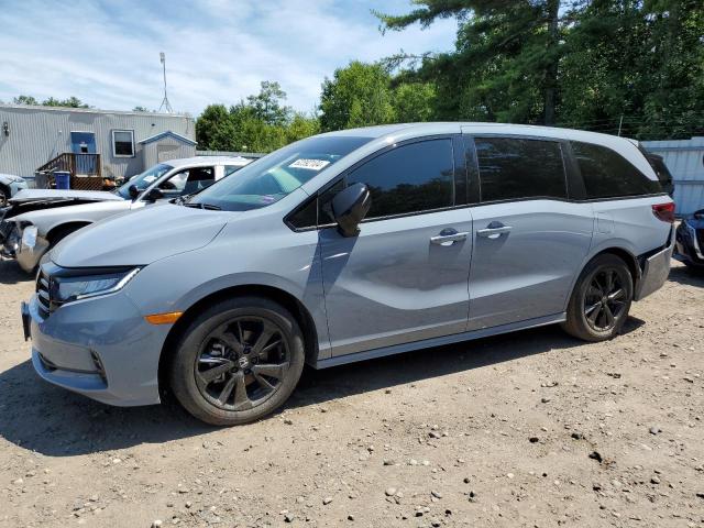 5FNRL6H74RB029437 2024 Honda Odyssey Sport