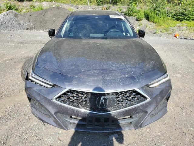 2021 Acura Tlx VIN: 19UUB6F36MA010081 Lot: 62283914