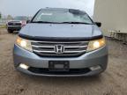 HONDA ODYSSEY EX photo