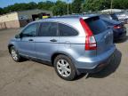 HONDA CR-V EX photo