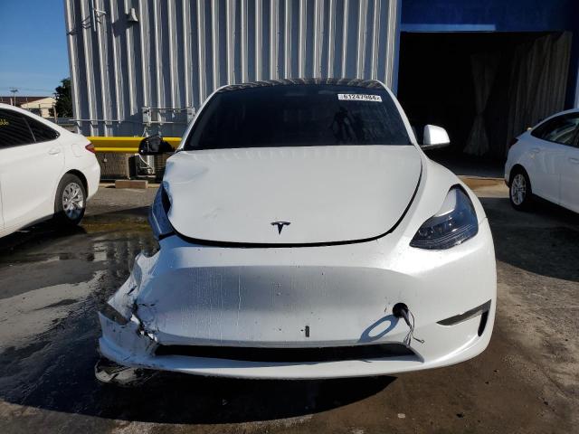 2023 TESLA MODEL Y - 7SAYGDEE7PF705841
