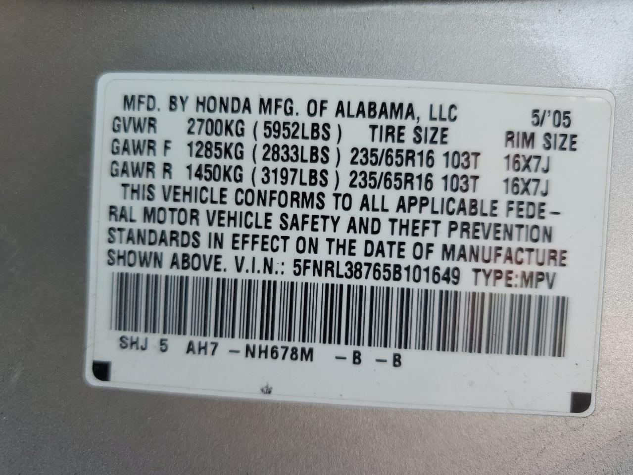 5FNRL38765B101649 2005 Honda Odyssey Exl