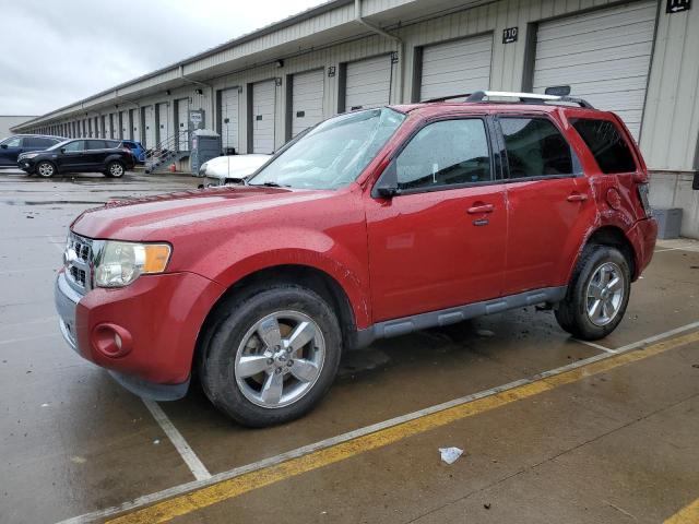 Vin: 1fmcu9eg4cka74361, lot: 64682504, ford escape limited 2012 img_1