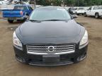 NISSAN MAXIMA S photo