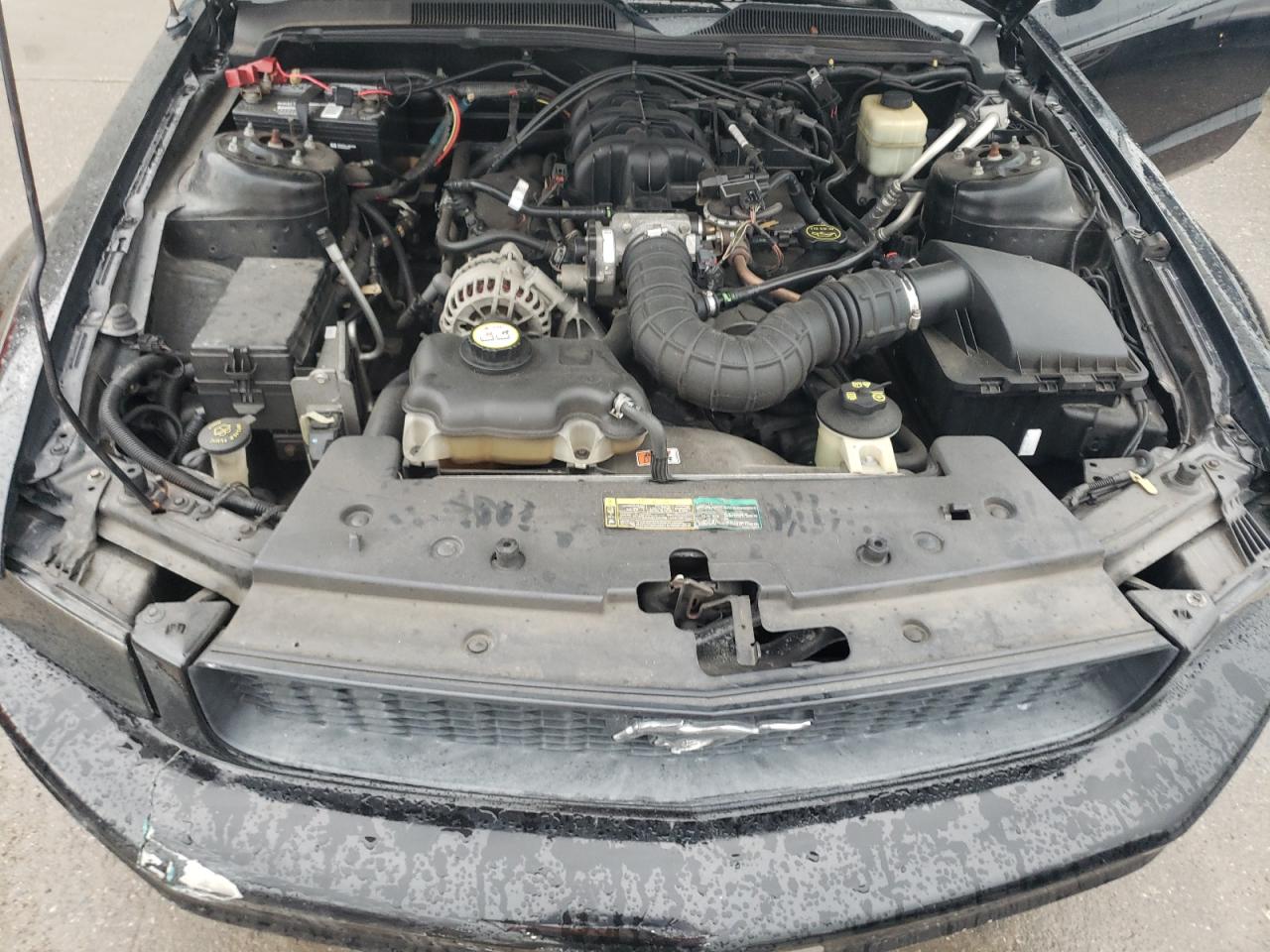 1ZVFT84N175254722 2007 Ford Mustang